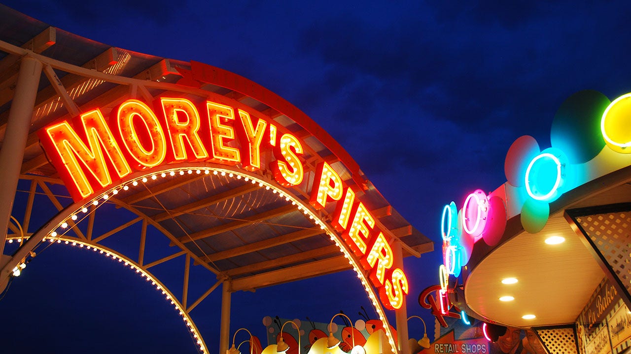 Seagull hits teenage girl in face on NJ amusement park ride