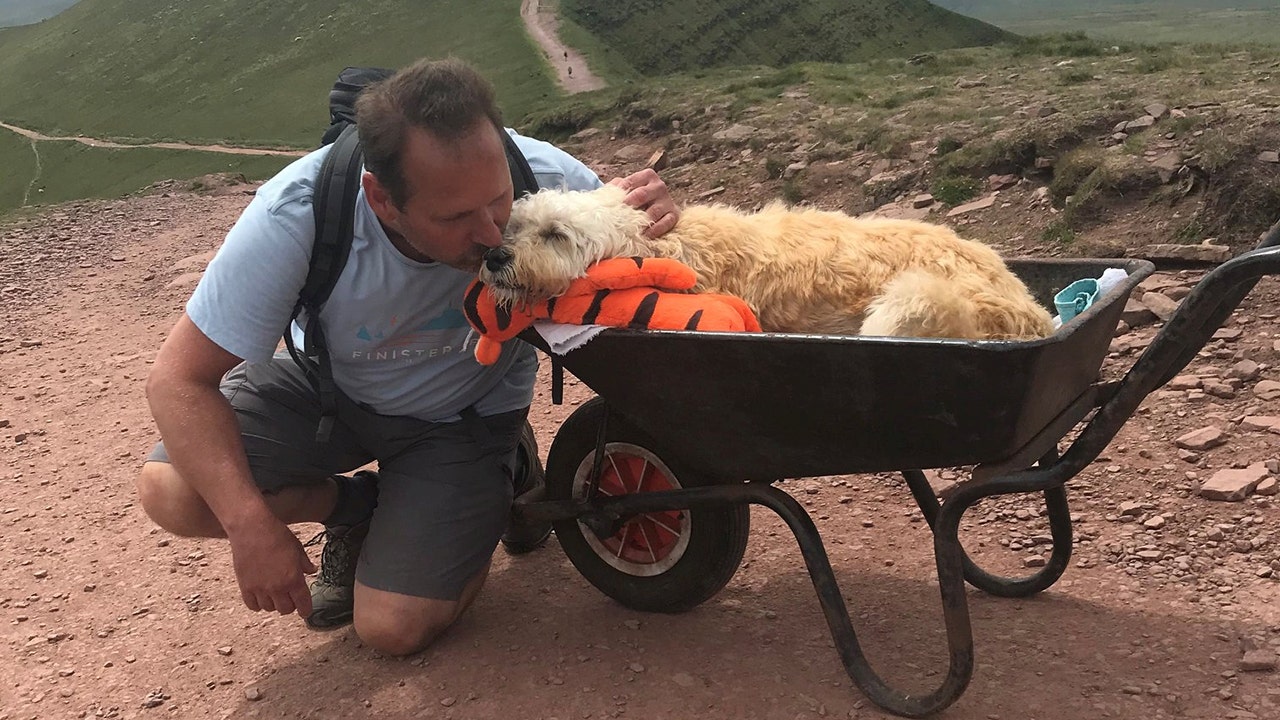 Man takes dog dying of cancer for one last walk up mountain in wheelbarrow  | Fox News