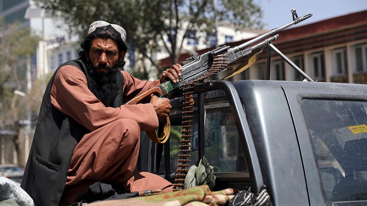 Taliban collect ammo guns from civilians after takeover: report