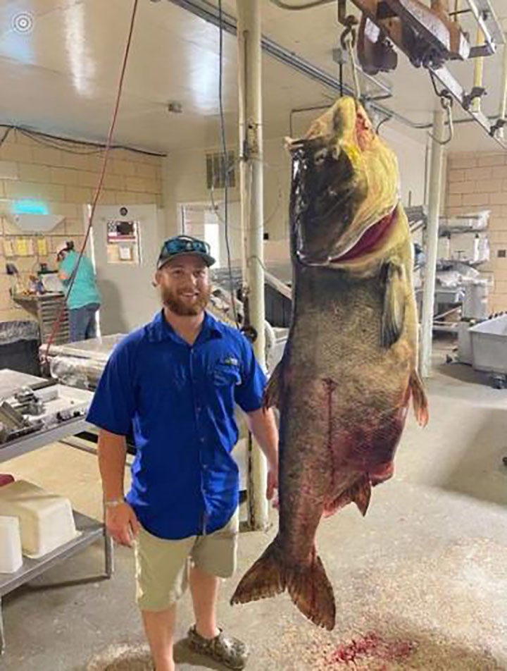 World record carp caught by bowfisher