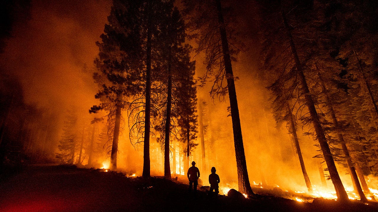 How federal regulation, not climate change, explains California's wildfire crisis: experts