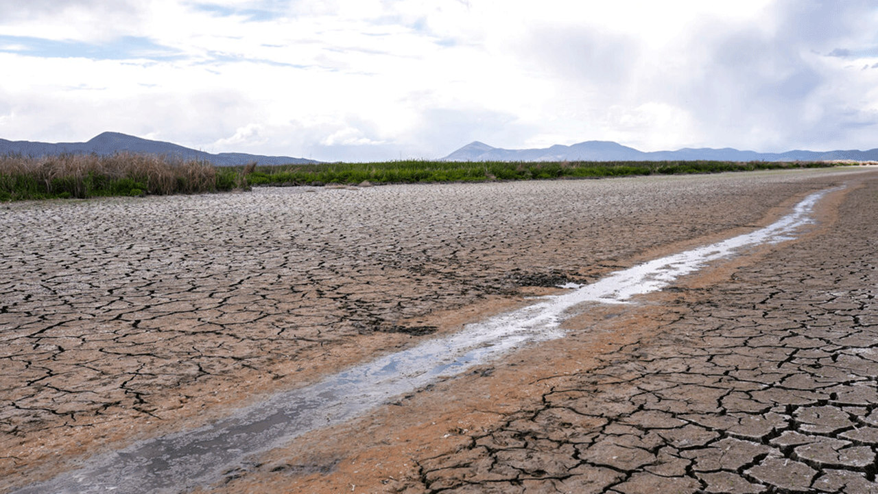 A small stream runs through the dry, cracked earth of a former wetland near Tulelake, California.  (AP Photo/Nathan Howard, File)