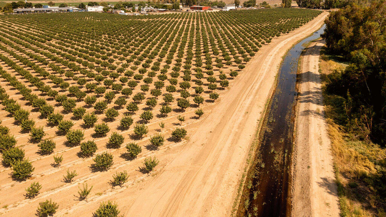 FILE - In this file photo from June 16, 2021, an irrigation canal passes farmland in Lemoore, California.  California regulators said Tuesday August 3 that some farmers in one of the country's most important agricultural regions will have to stop withdrawing water from major rivers and streams due to a severe drought that is rapidly depleting the reservoirs of the country. 'Condition and kill endangered fish species.