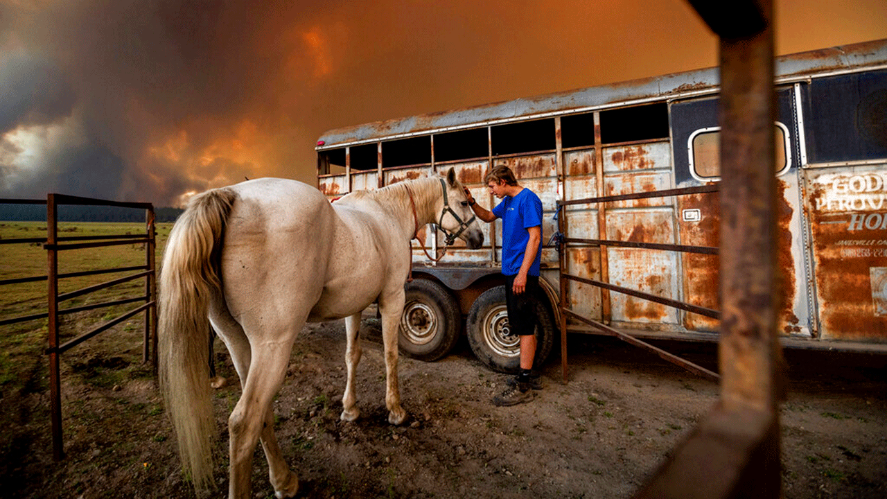 Hunter McKee pets Rosy after helping evacuate the horse to the edge of Lake Almanor as the Dixie Fire approaches Chester, Calif., on Tuesday, Aug. 3, 2021. Officials issued evacuation orders for the town earlier in the day as dry and windy conditions led to increased fire activity. 