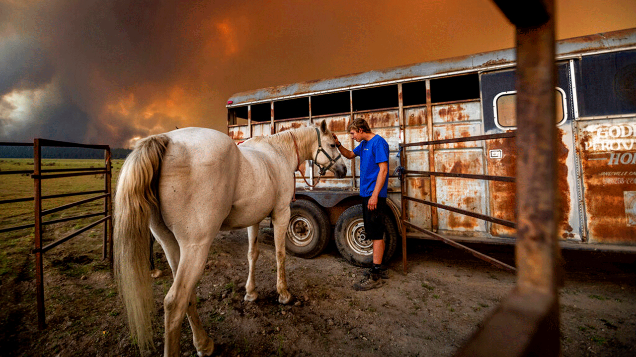 Hunter McKee pets Rosy after helping evacuate the horse to the edge of Lake Almanor as the Dixie Fire approaches Chester, Calif, on Tuesday, Aug. 3, 2021. Officials issued evacuation orders for the town earlier in the day as dry and windy conditions led to increased fire activity.?