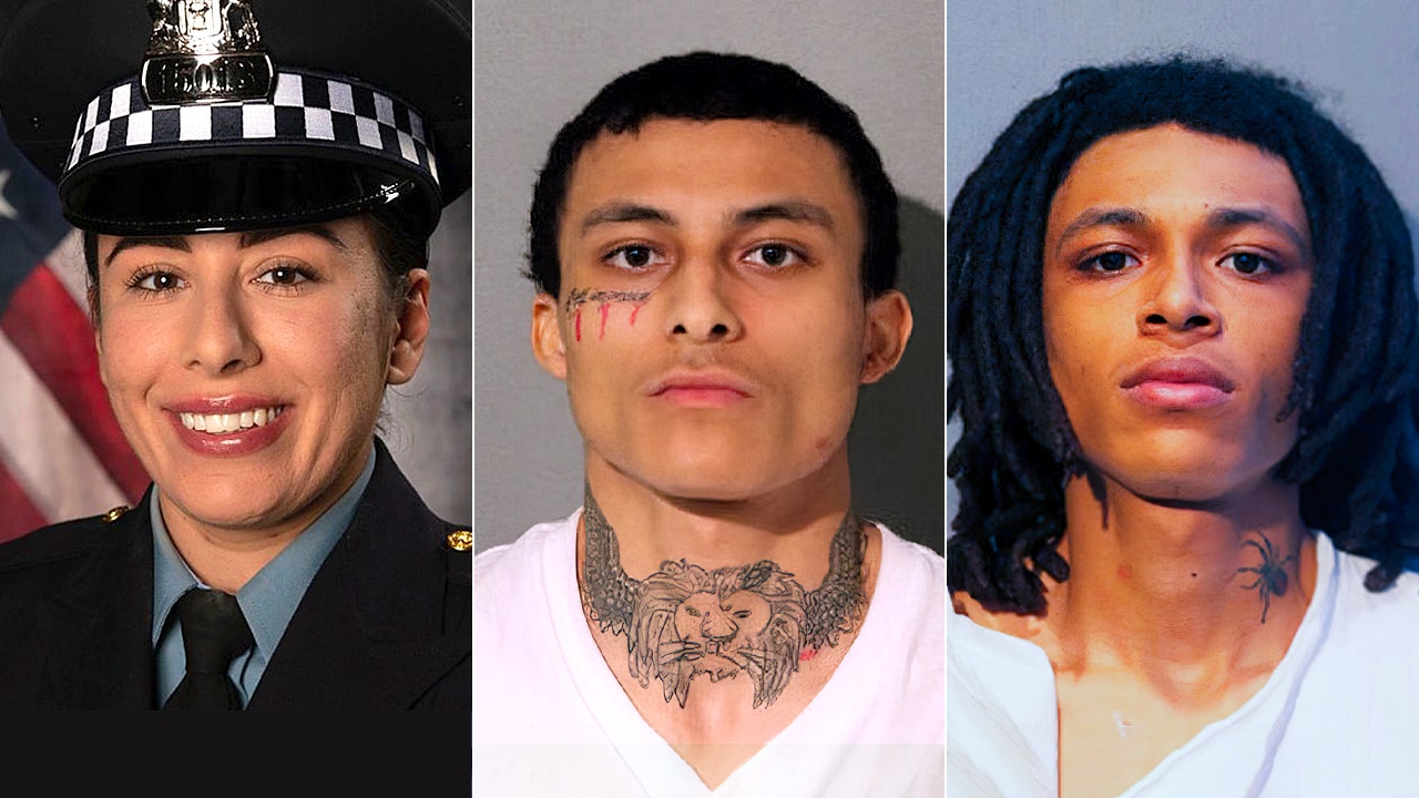 Mother of brothers charged in fatal shooting of Chicago Police Officer Ella French is arrested, police say