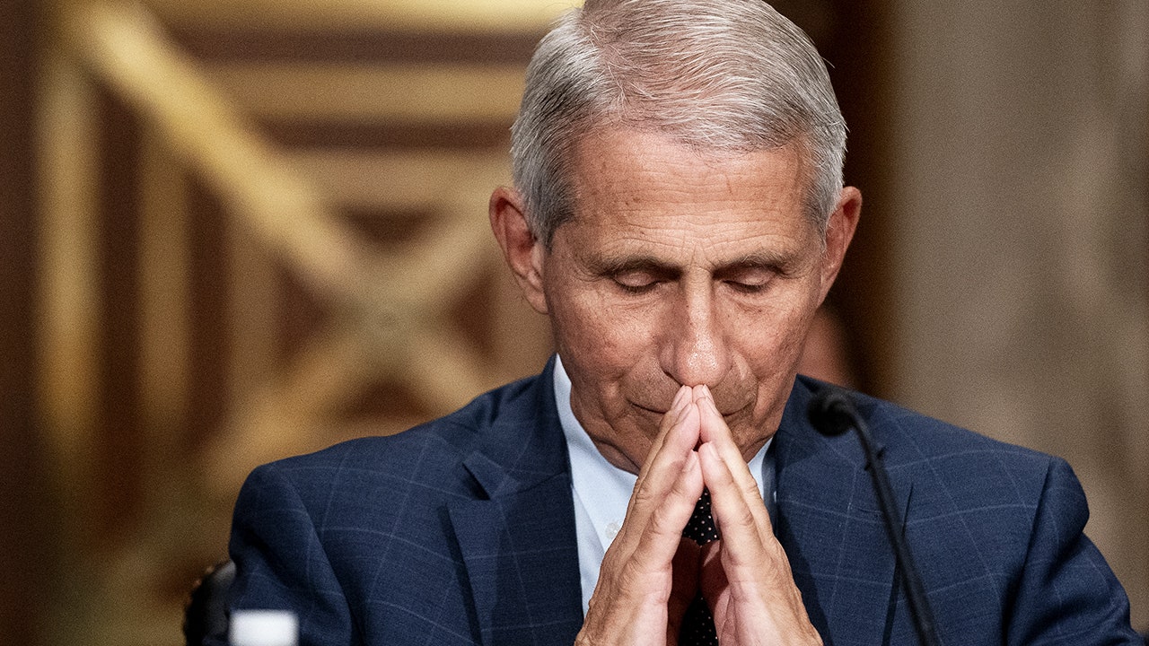 Rand Paul blasts Anthony Fauci after NIH admits gain-of-function funding | Fox News