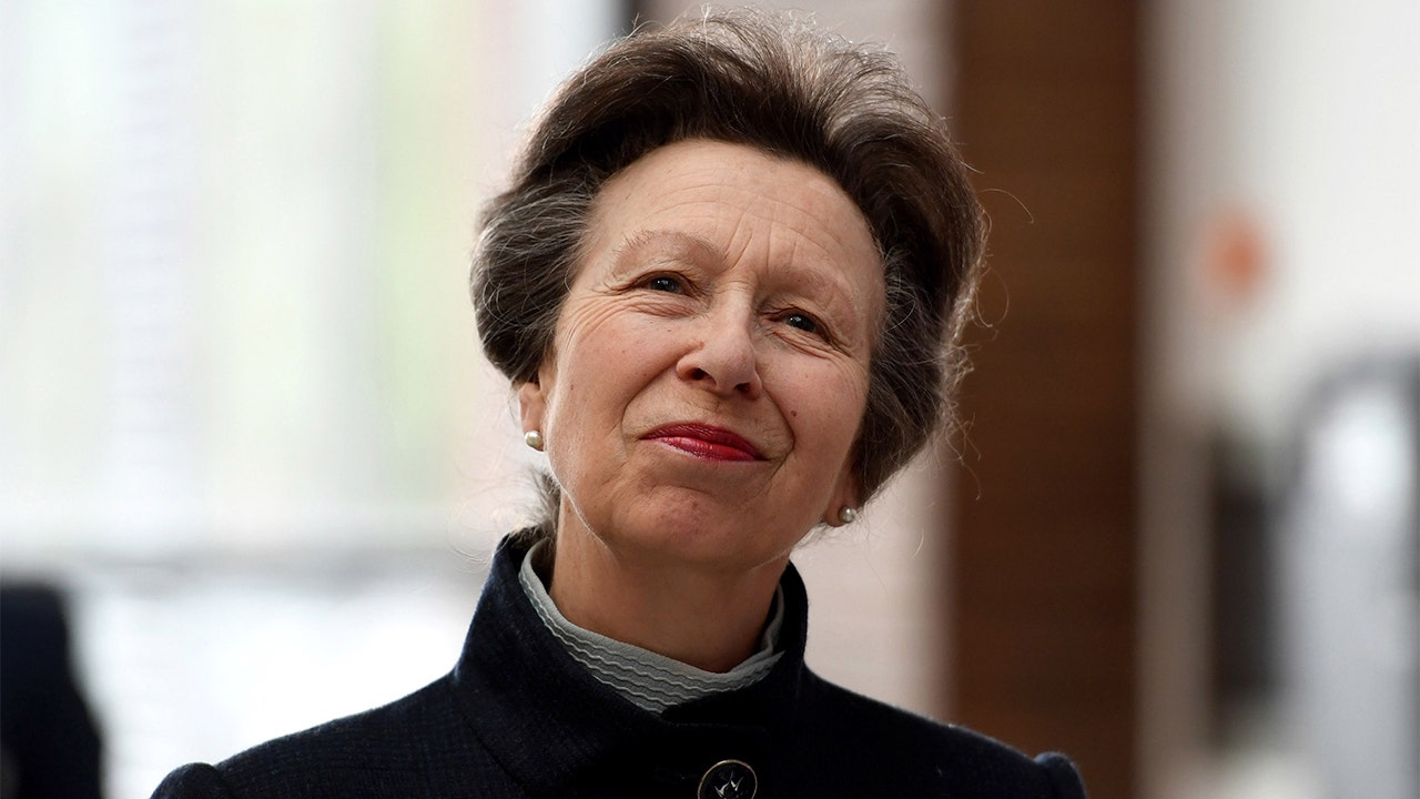 Why Princess Anne, 'the hardest working' royal, keeps her life private: royal expert