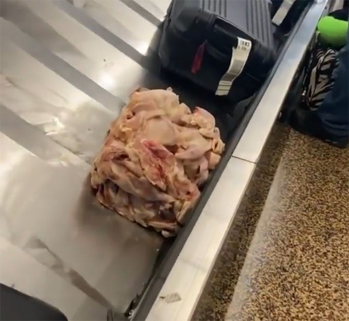 Pile of raw chicken on airport luggage carousel prompts warning from TSA