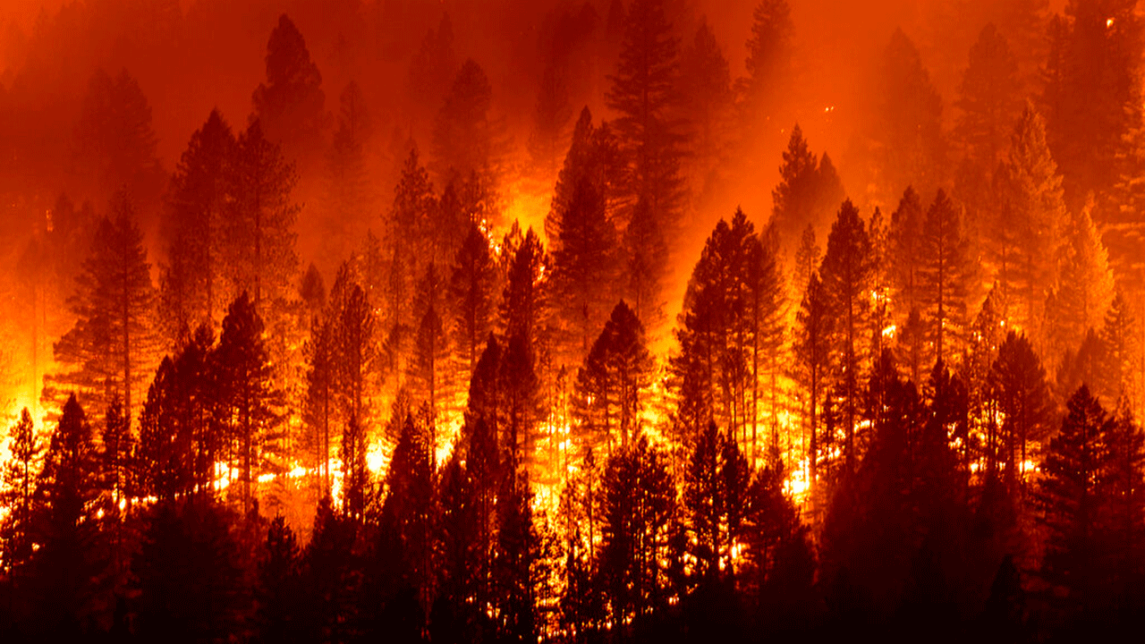The Dixie Fire burns down a hillside towards Diamond Mountain Rd. near Taylorsville in Plumas County, Calif., on Friday, Aug. 13, 2021. 