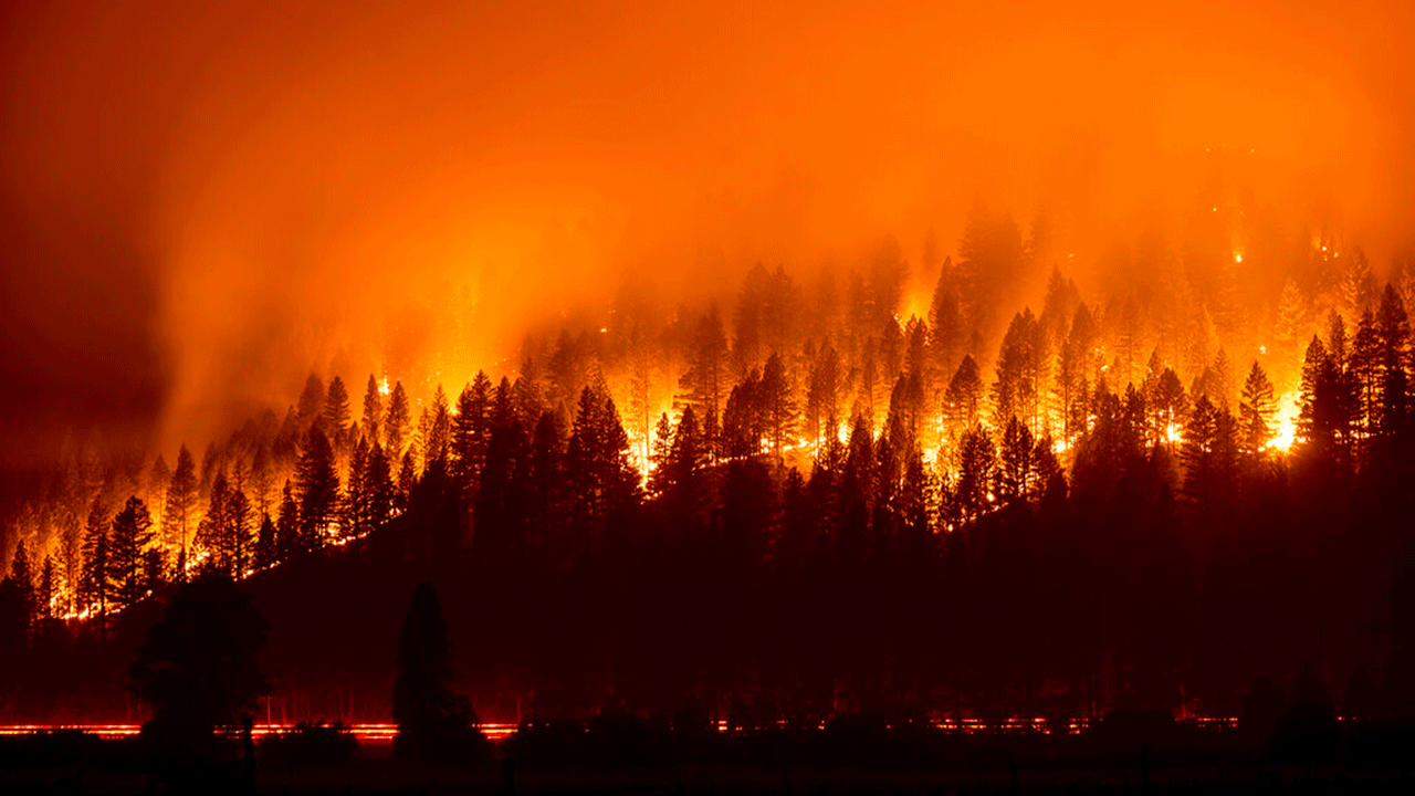 The Dixie Fire burns down a hillside towards Diamond Mountain Rd. near Taylorsville in Plumas County, Calif., on Friday, Aug. 13, 2021.