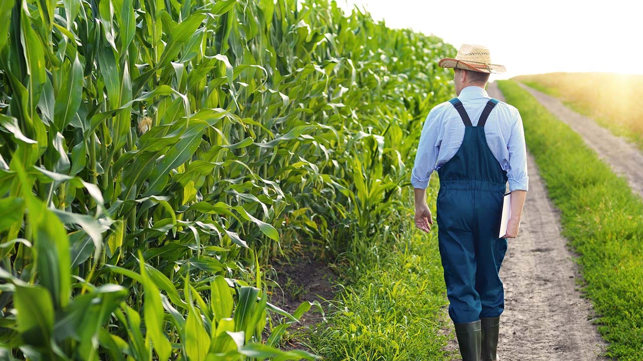 Biden's burden on America's farms only worsen food crisis