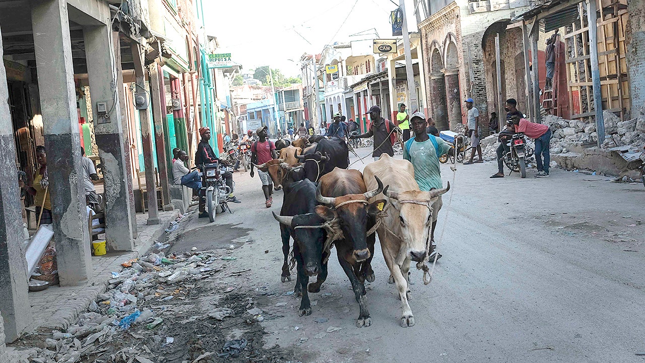Haiti quake: Tensions grow over aid as deaths pass 2K