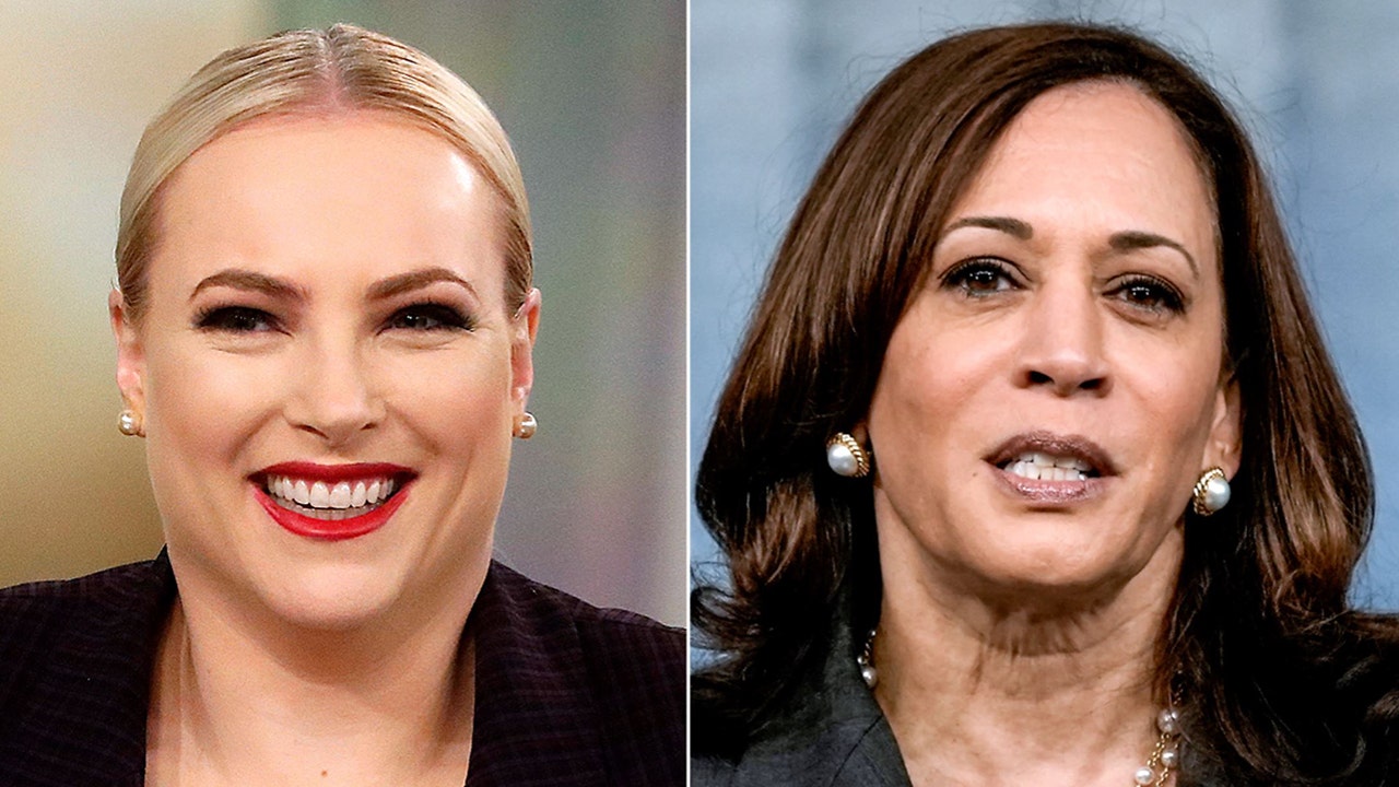 Meghan McCain shades Kamala Harris over John McCain memorial visit: 'If you want to honor my dads legacy ... '