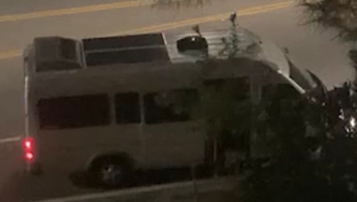 Possible California abduction caught on video as woman screams for help before van door slams shut