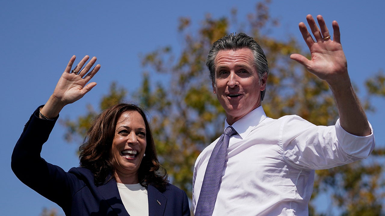 Kamala Harris faces protesters waving Afghanistan flag during Newsom rally in California