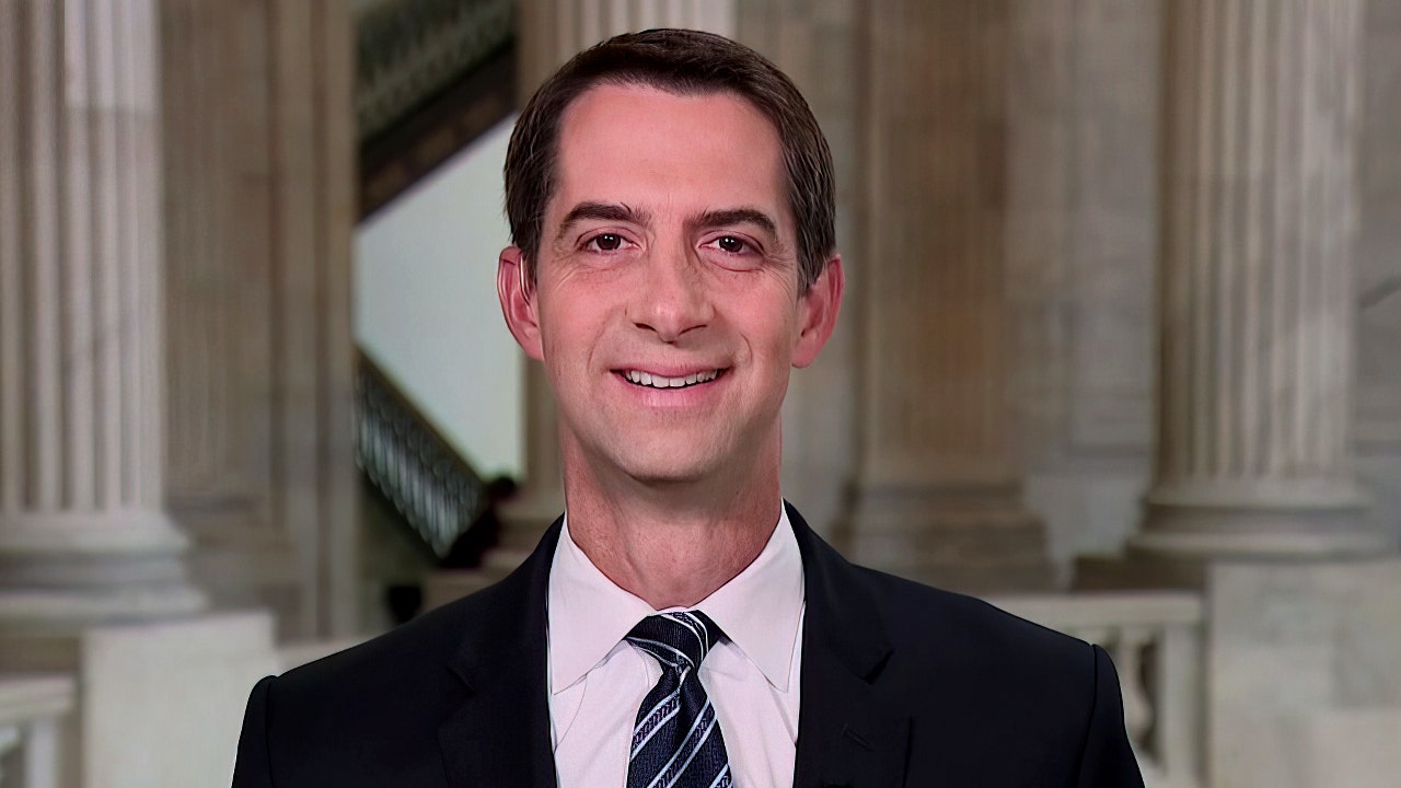 Sen. Cotton rips Biden's UN speech: A lot of the world 'just laughs' at his statements