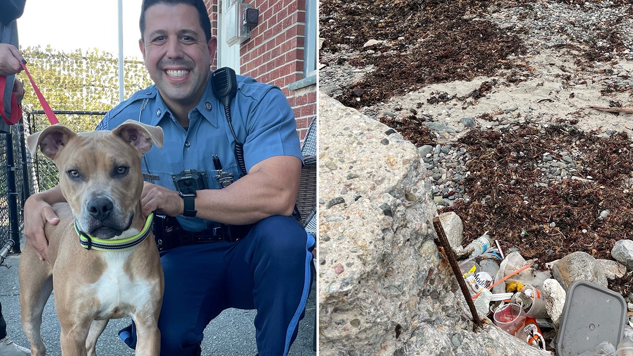 Massachusetts police rescue dog chained to rod and left to drown in incoming tide; owner arrested