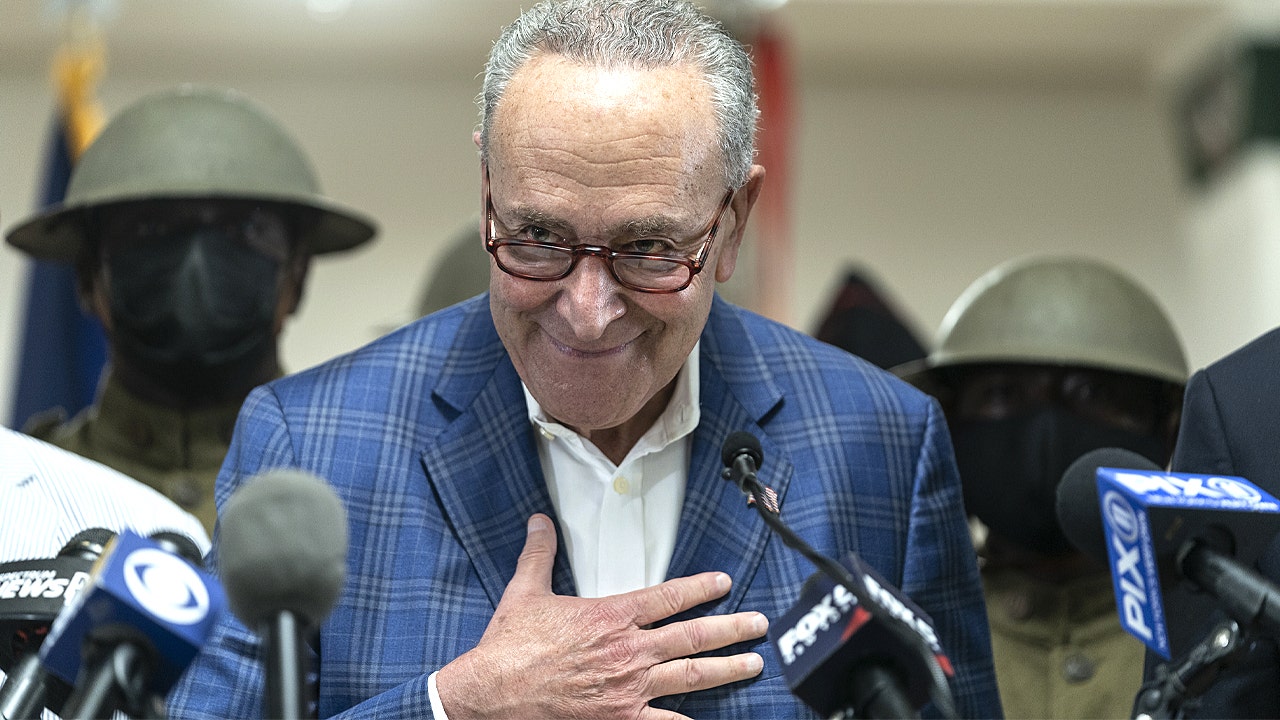 Schumer-aligned dim cash nonprofit raked in report $105 million from nameless donors, tax varieties exhibit