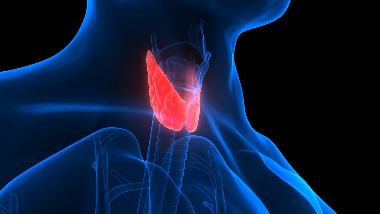 FOX NEWS: Thyroid cancer: What to know, according to experts October 1, 2021 at 01:42AM