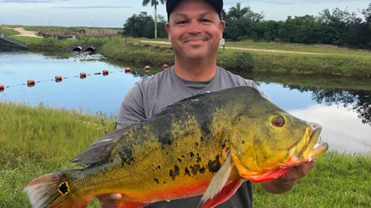 Fisherman breaks nearly 30 year old record in Florida