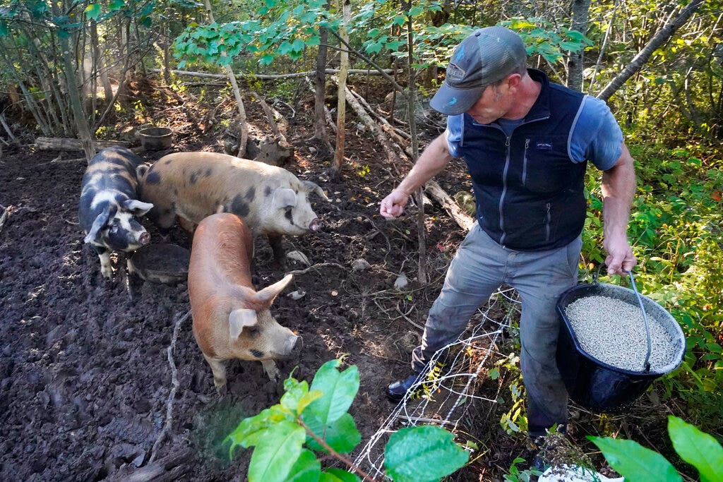 Is there a constitutional right to food? Mainers to decide