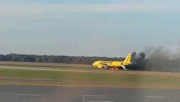 Spirit Airlines plane struck by bird during takeoff at New Jersey airport, sparking a fire