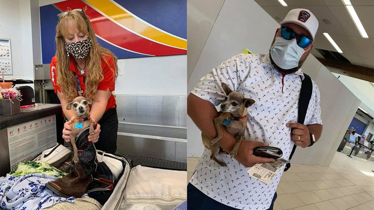 Stowaway dog found hiding in luggage at Southwest Airlines terminal