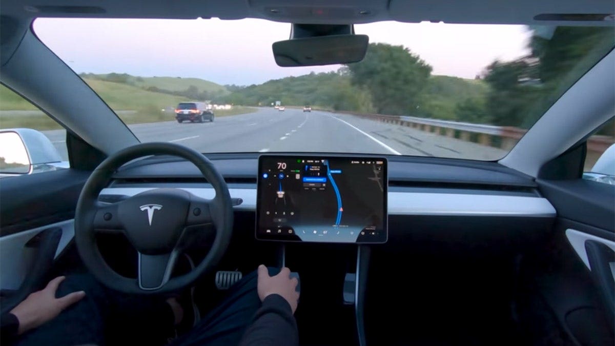 Elon Musk says Tesla Full Self-Driving software has 'issues'