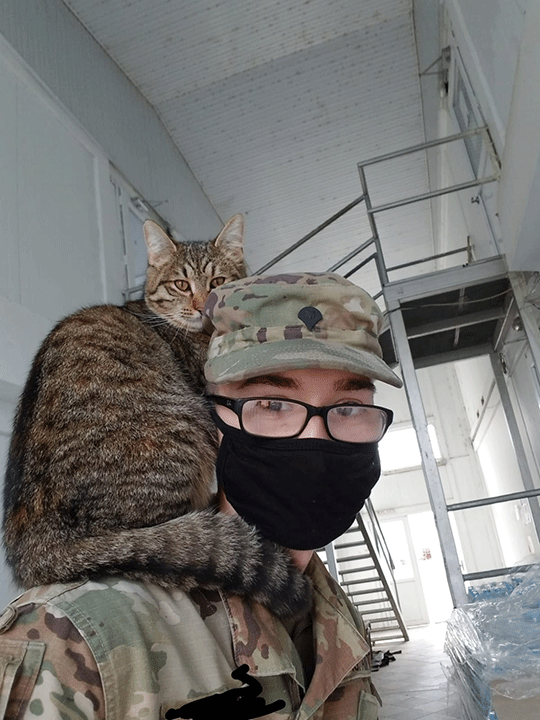 US Army soldier saves cat on deployment, seeks help bringing her home before holidays