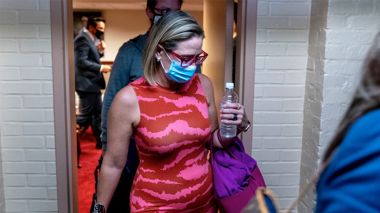 Sinema confronted in airport and plane about spending bill, Green New Deal, DACA