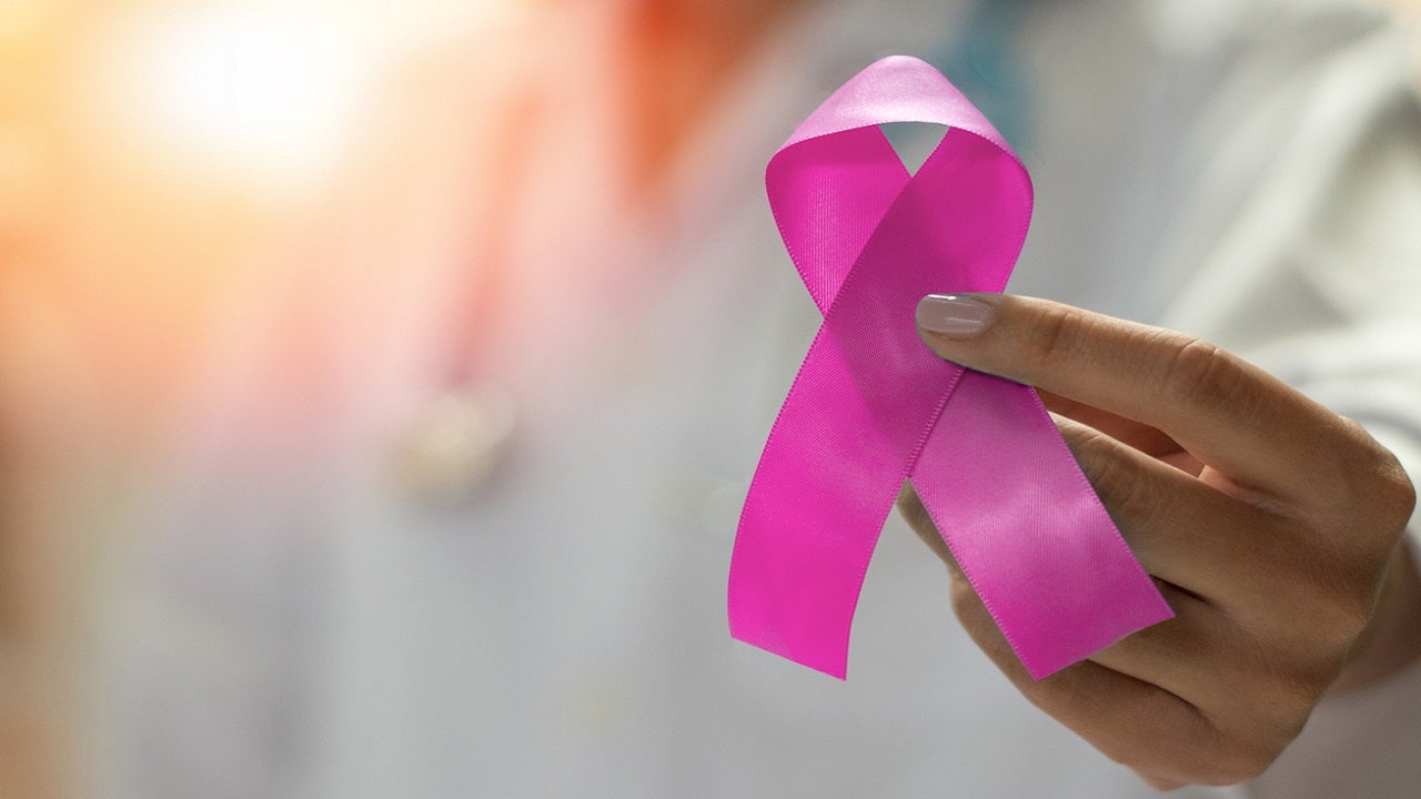 Breast cancer risk: What is the PALB2 gene mutation? Expert weighs in - Fox News