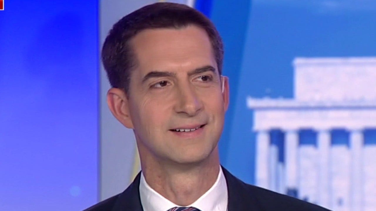 Cotton uses Schumer's own words in defense of the filibuster on Senate floor