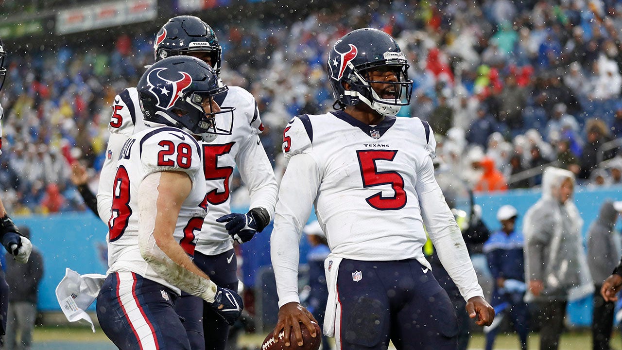 Texans snap 8-game skid, end Titans' 6-game streak 22-13