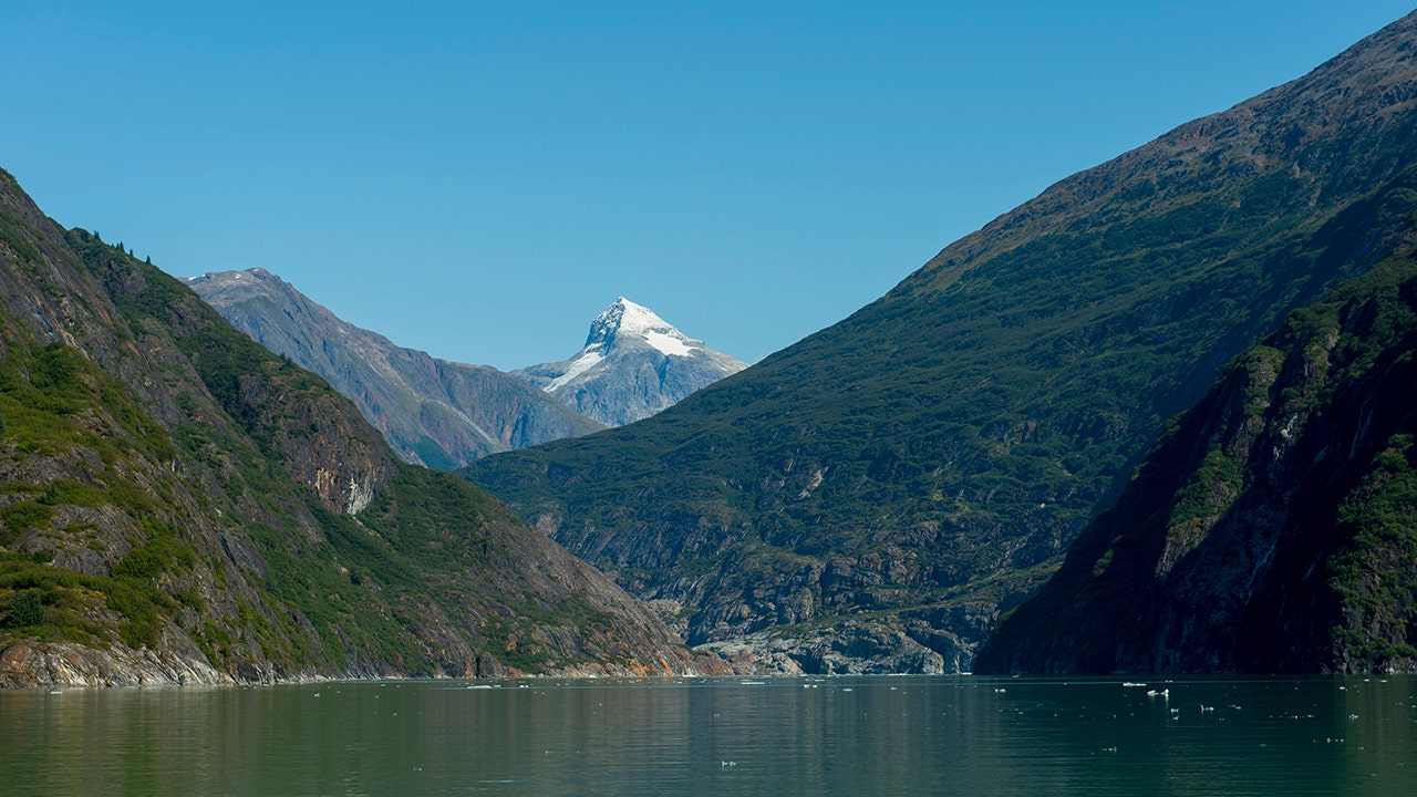 Biden administration aims to reverse Trump-era policy on Alaska’s Tongass National Forest: report