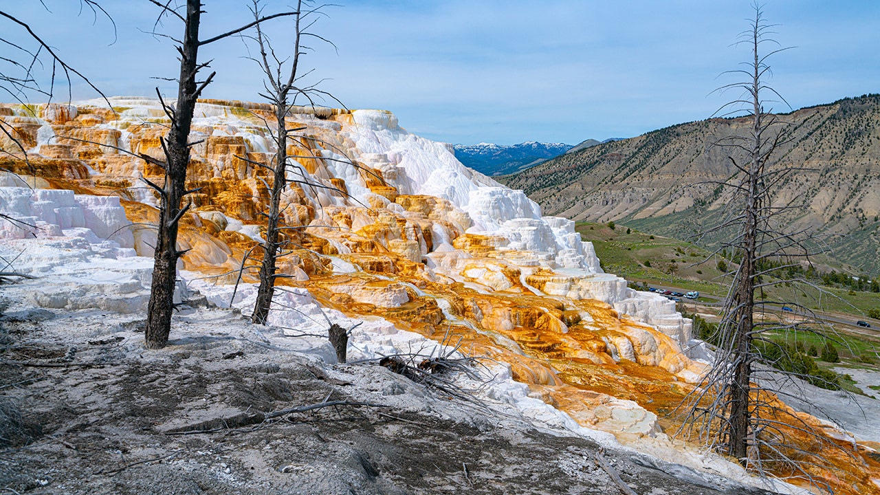 Yellowstone treasure hunter's appeal of $2,880 rescue restitution order fails