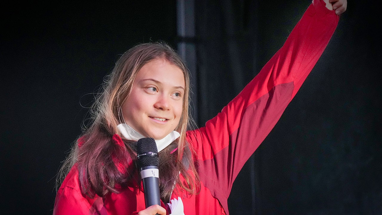 Greta Thunberg reverses course on nuclear power, argues Germany is making a mistake by taking plants offline