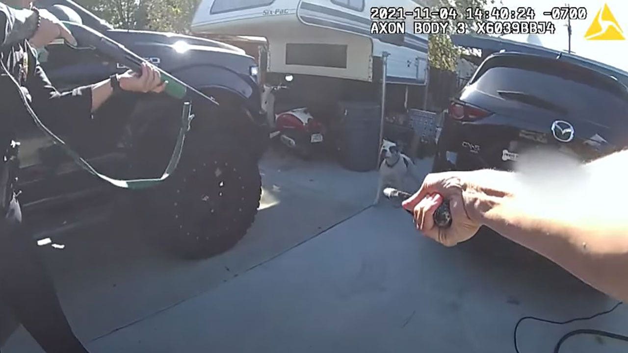 LAPD releases bodycam footage of disputed non-lethal shooting of dog