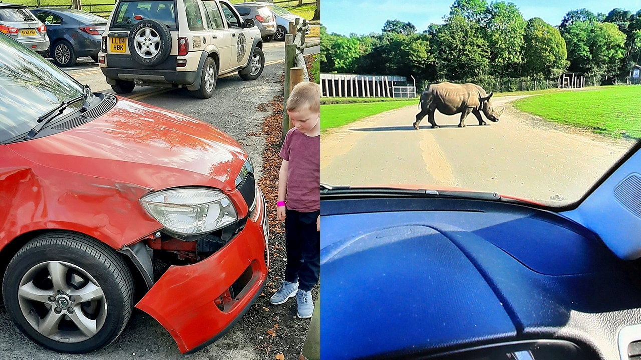 safari park damage to car