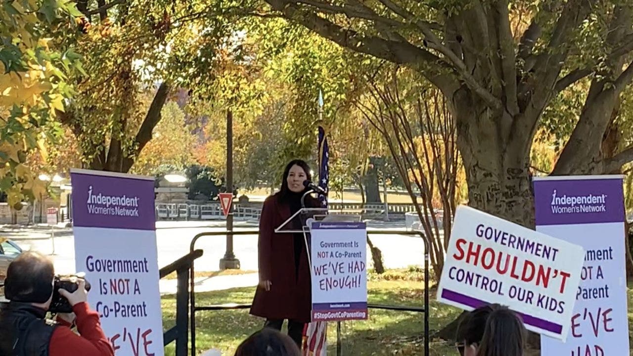 Activists rally outside of Capitol to protest critical race theory in schools: 'Government is not a co-parent'