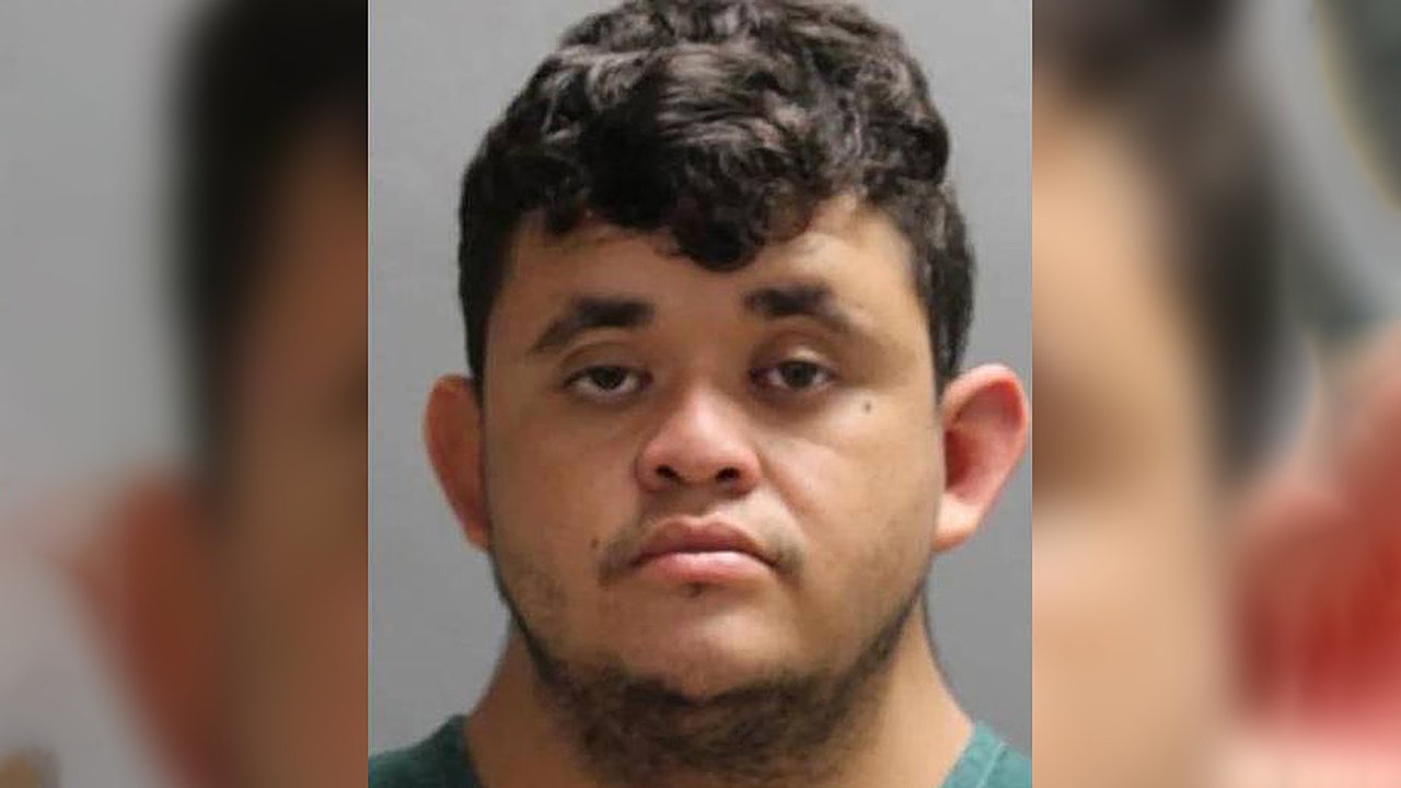 Honduran illegal immigrant charged with murder entered US falsely claiming to be unaccompanied minor: report