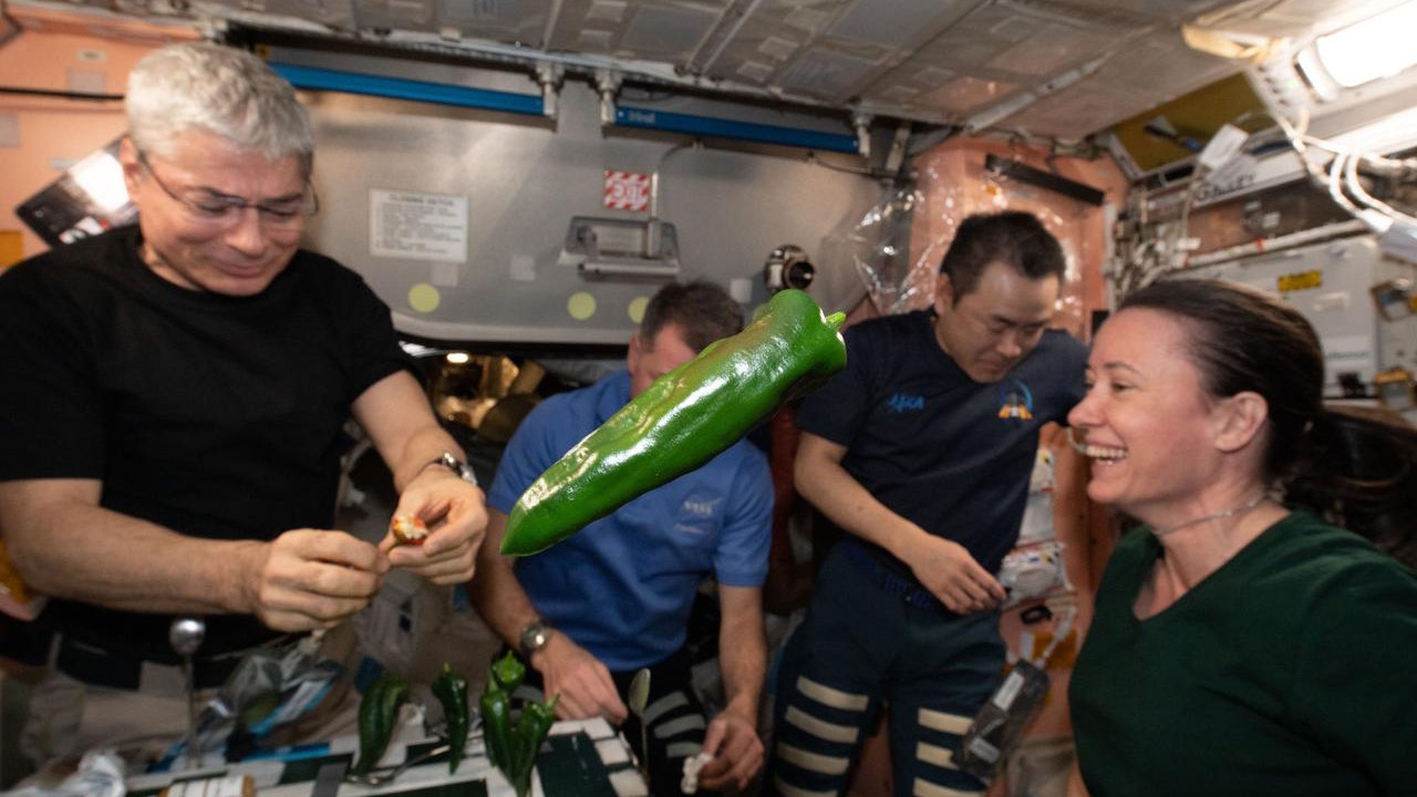 Photo of Astronauti NASA po prvý raz zbierajú papriky vo vesmíre na palube Medzinárodnej vesmírnej stanice