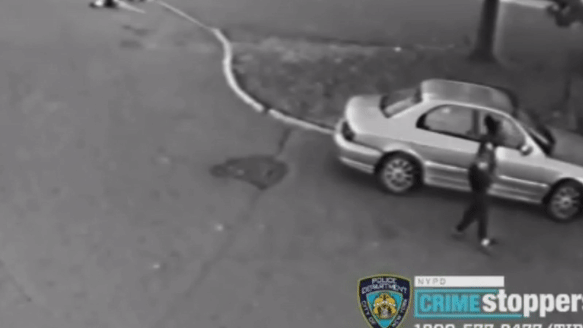Staten Island shootout in broad daylight caught on video, NYPD looking for men involved