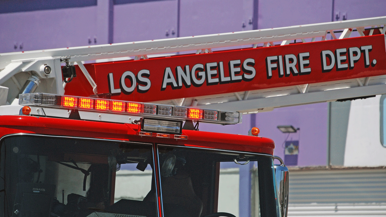 2 bodies found in 'human-dug cave' in Los Angeles: Officials | Fox News