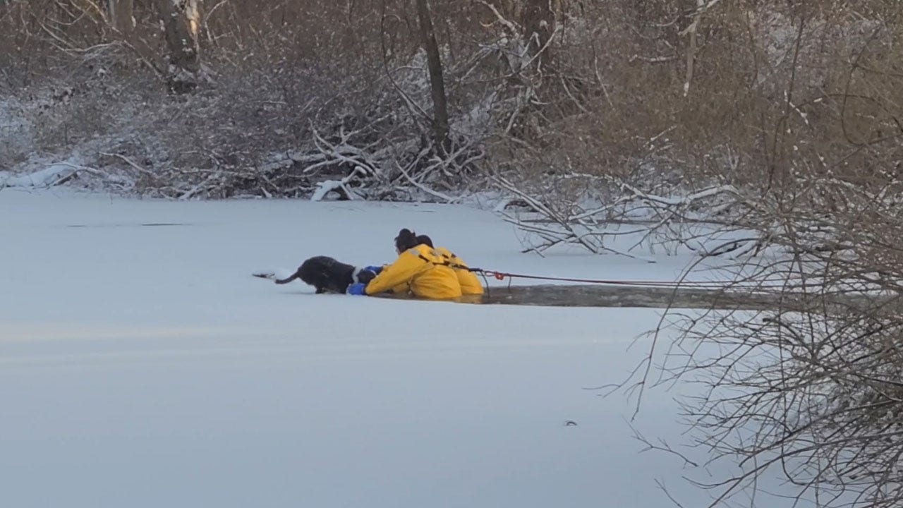 Firefighters rescue dog trapped on frozen lake
