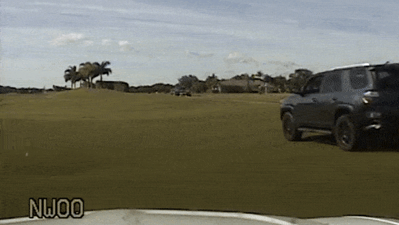 Florida woman charged with DUI after driving through golf course in wild police chase