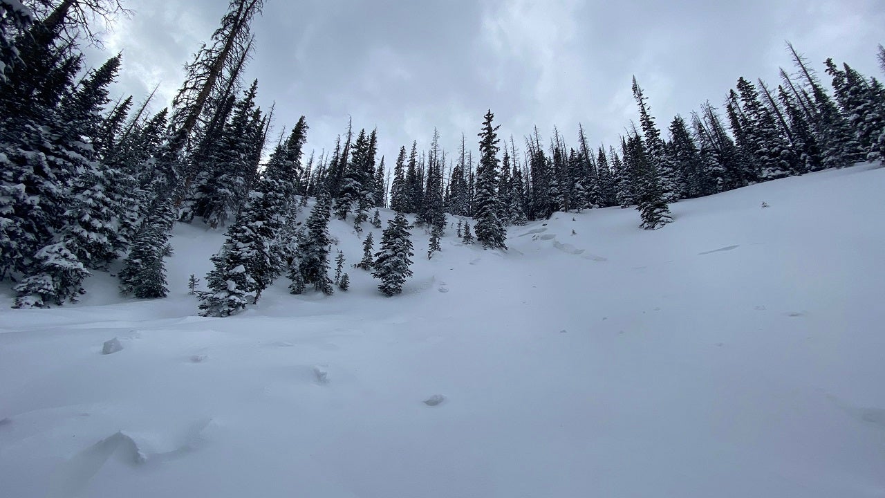 Colorado backcountry skier dies in Christmas Eve avalanche: 'Was caught, fully buried, and killed'