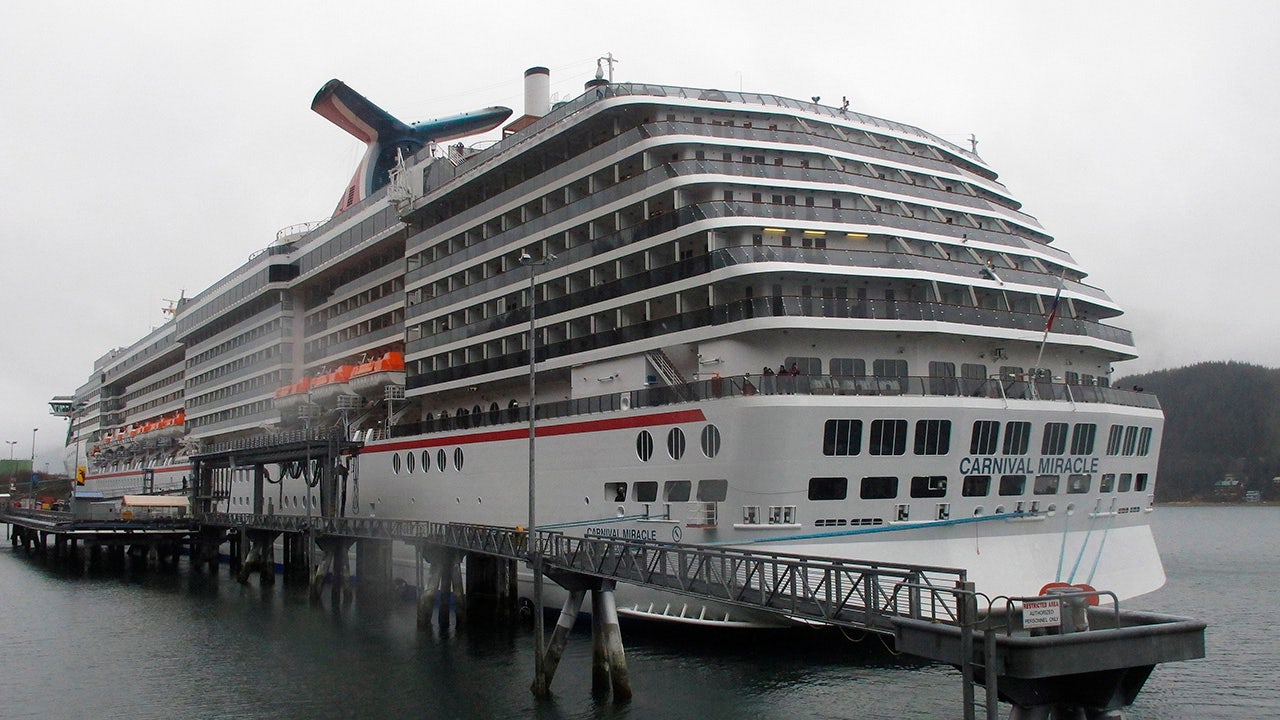 US Coast Guard suspends search for woman who went overboard on cruise ship – Fox News