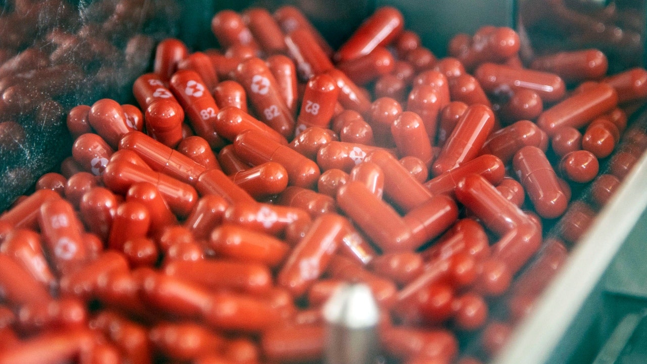 FDA panel endorses first COVID-19 pill