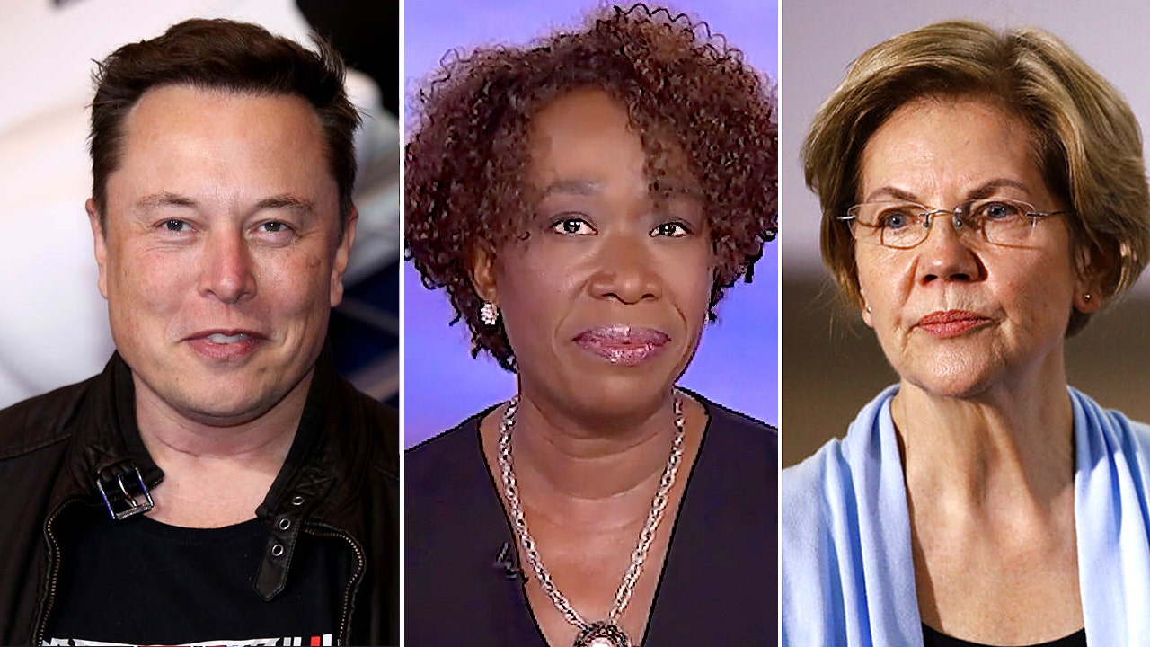 Elon Musk fires back at MSNBC's Joy Reid for knocking Warren digs, calls her a 'lobbyist for …